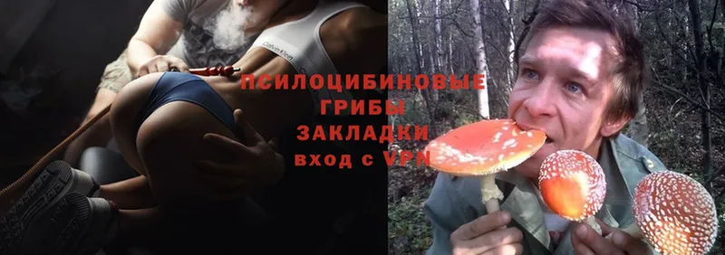 hydra tor  цена наркотик  Валуйки  Галлюциногенные грибы MAGIC MUSHROOMS 